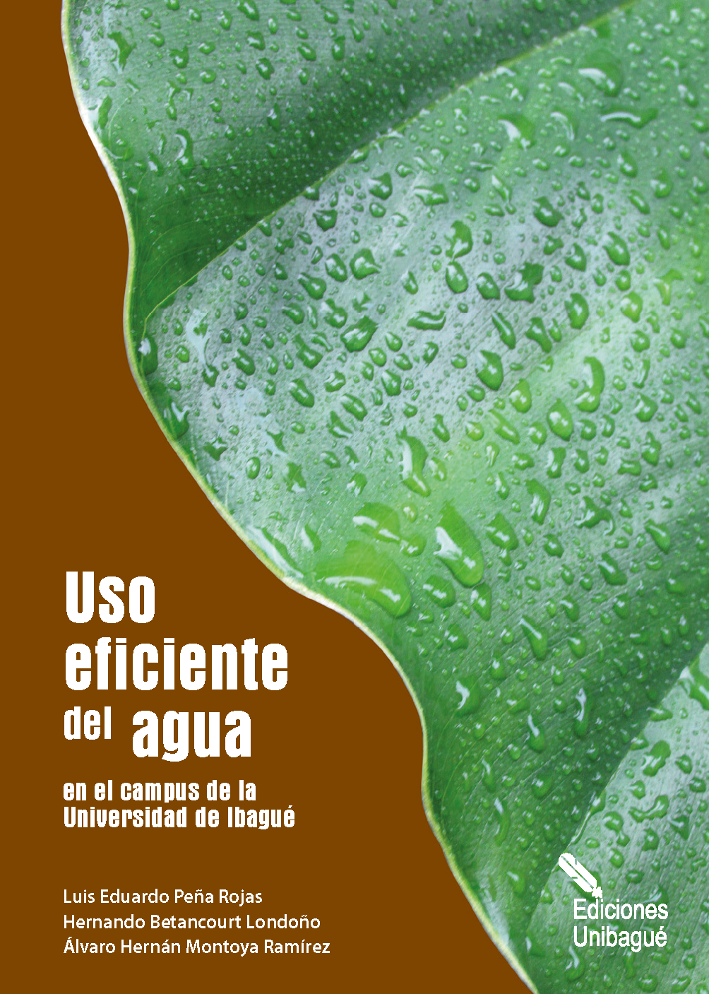 Cover of Uso eficiente del agua en el campus de la Universidad de Ibagué